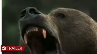 Il grande Nord - Trailer