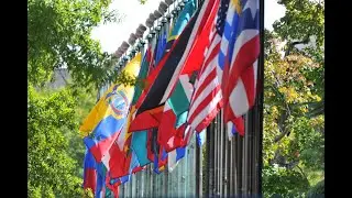 Regulatory system strengthening in the Americas - AUDIO ENGLISH