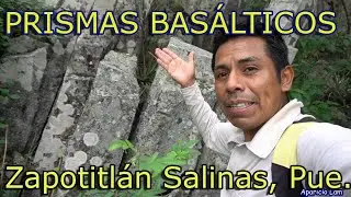 Prismas Basálticos, ZAPOTITLÁN SALINAS, PUE.