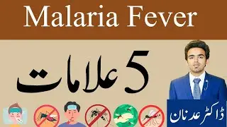 Malaria Fever Signs and Symptoms | Bukhar Ki Alamat Aur Nishani Kya Hai | Urdu