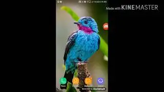 Shadow fight 2 Mod unlimited money(TAMIL)