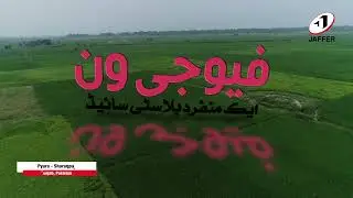 Jaffer Agro Testimonial