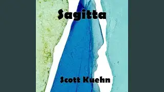 13 Sagittae