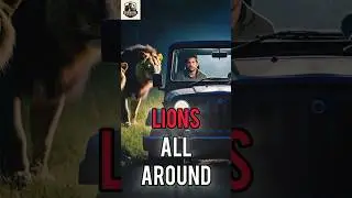 Lions circled his broken jeep 🦁 | Real survival story