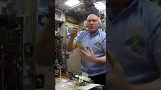 #Белуга на завтрак #shorts #мкс #iss #space #космос #ОлегАртемьев #космическаяеда