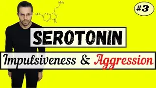 How Serotonin Reduces Impulsiveness and Aggression (The Serotonergic Series #3)