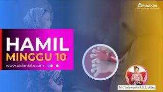 Minggu ke 10 - Kehamilan dari minggu ke minggu