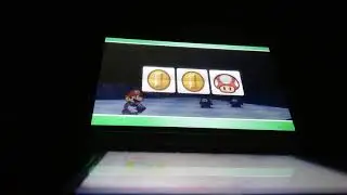 paper mario sticker star 3-1 leaflitter path