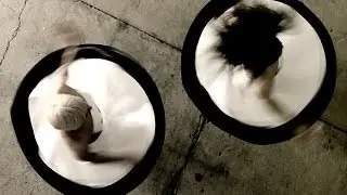 Trailer: Dance on Camera 2014