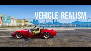 VehicleRealism