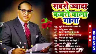 🔥 हर जगह बजने वाला Baba Saheb Song | Bhim Army Superhit Gana | Jay Bhim