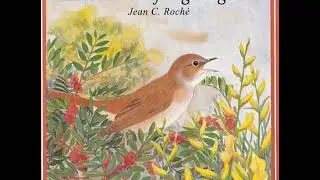 Jean C. Roch&eacute; - A Nocturne of Nightingales