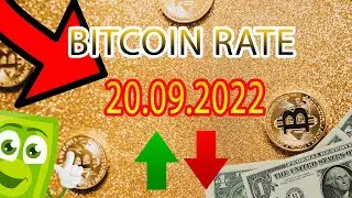 Bitcoin exchange rate forecast - bitcoin price prediction - btc