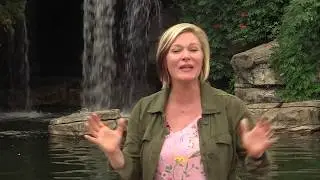 STLTV Promo St.Louis Zoo 30 sec