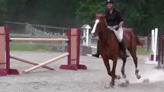 Bareback and Bridleless demo