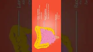 Like share subscribe#Study point