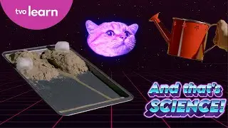 Weathering, Erosion, and Deposition | And That's Science! | TVO Learn