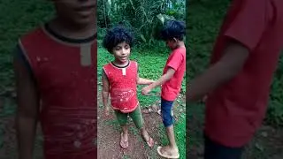 Pullu krishi vlog