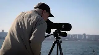 Symphony | Poetic Documentary