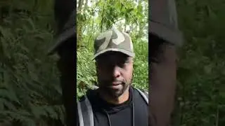 Hiking in Boquete, Chiriqui🇵🇦 | Finca  Lerida🥾 | Tree Trek🌳 | #short #vegan #vegano