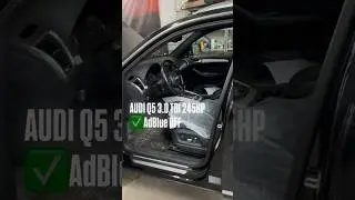 Отключение мочевины или AdBlue Off | Audi Q5 3.0 TDI 245 hp Stock