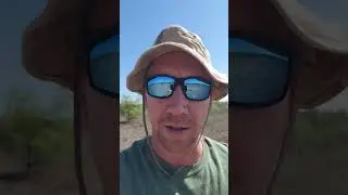 MOJO Voodoo dove decoys
