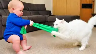 FUNNIEST BABIES and PETS Playing Together - Funny Baby and Cat Videos