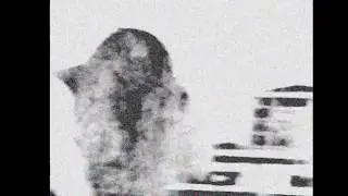 Mshing - Live Assault 151213