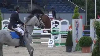 Sandro boy x Libero H 8y Stallion