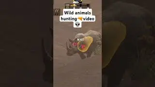 animals hunting video 👽#gunshorts #gaming #animals #trending #games #wildanimals #ahan#games #sniper