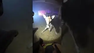 Жираф в огненной ловушке! 😱🔥 Смотреть до конца #shorts #action #fire #danger #пожар #шок #экшн