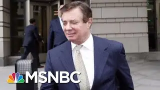 Paul Manafort Accountant Admits To Submitting False Documents | Hardball | MSNBC