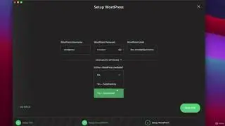 001 Local by FlyWheel ile WordPress kurulumu