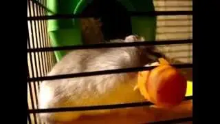 MOV02131