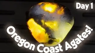 Rockhounding in The Devil's Punchbowl! #gemstone #agate #rockhounding #asmr #travel #beach #oregon