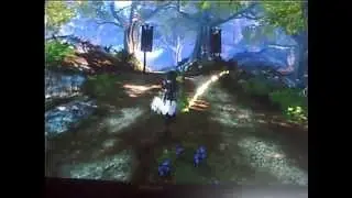Fable 2 loading screen freezing fix