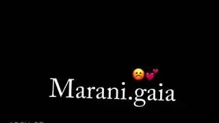 Marani allez😣marani gaia😓❤❤
