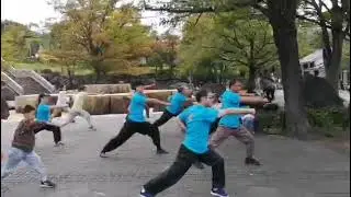 迷踪拳基础练习　Mizong Fist Basic Practice　迷踪拳の基本練習