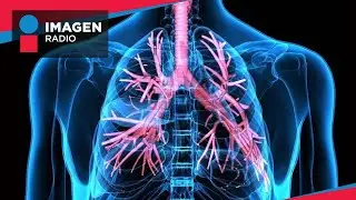 Enfermedades pulmonares más comunes