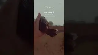 &ldquo; Every Act of Kindness is Charity &rdquo; #reaction #islamic #islamicqoutes #video #viral#reel#foryou