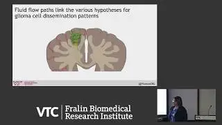 Interstitial Fluid Flow in Health and Disease