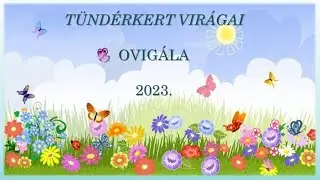 OVIGÁLA 2023 Lajosmizse