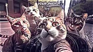 New Trending alightmotion xmlfile/tiktok/#viral #edit #xml #tiktok @LYRICAL-WAVE19 
