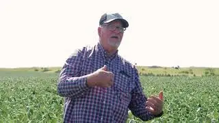 MN Soil Health School Soybean Field Visit