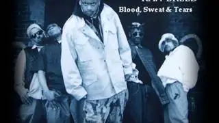 RAW BREED - RIDERZ