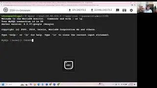 GCP Project-Create database with Google Cloud SQL, access it from VM & query data using SQL Commands