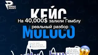 Moloco Ads 2025 | $40K Spend | Гембла In-App трафик | Tier-1 (США + Европа)