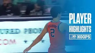 Andrej Stojakovic 20 PTS, 4 REB vs. LIU | Illinois Basketball | 11/22/2025