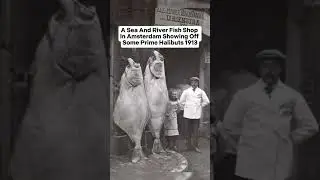 Rare and Stunning Historical Photos That Preserve Lost Moments&nbsp; #history #facts #photography#shorts