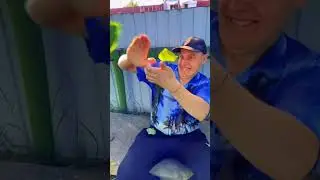 А у вас было такое?#батёк #лена#Вадик и Раис